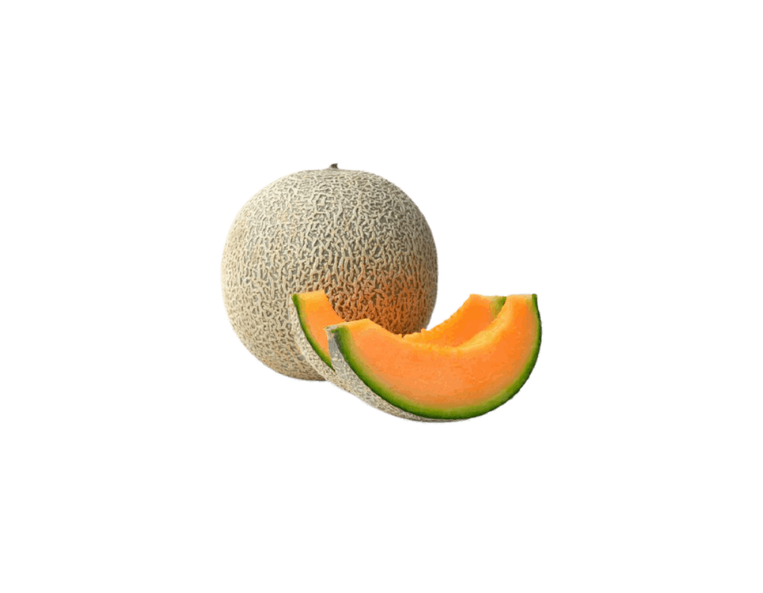 خربزه تازه