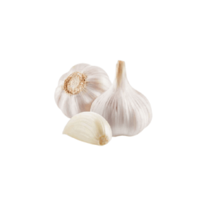 سیر ارگانیک تازه