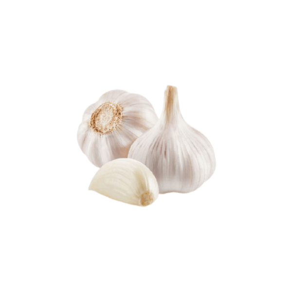 سیر ارگانیک تازه