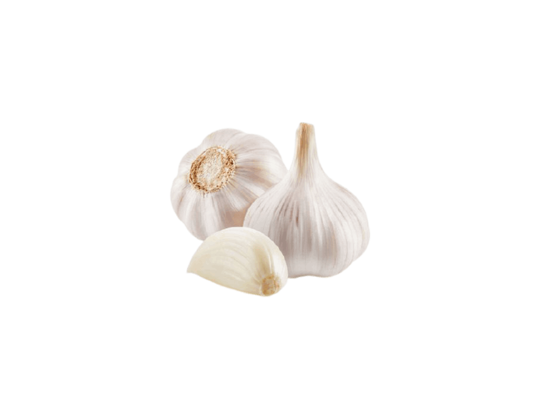 سیر ارگانیک تازه